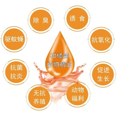 創(chuàng)澳分享 生態(tài)環(huán)境對(duì)畜禽健康的影響及豬應(yīng)激因素與除臭劑應(yīng)用